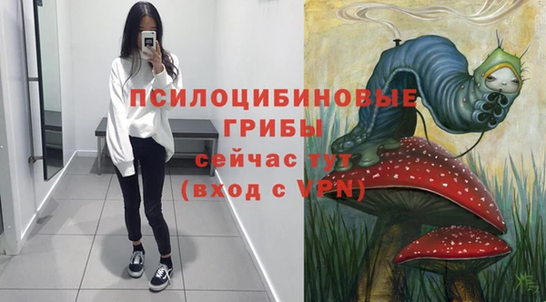 мяу мяу мука Алексеевка