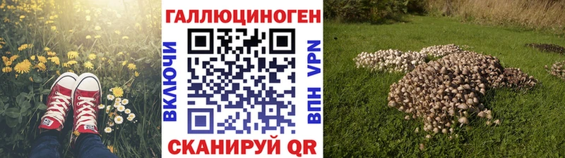 Галлюциногенные грибы Psilocybe  Киров 